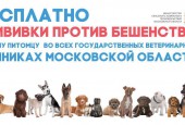 Министерство сельского хозяйства и продовольствия Московской области сообщает о возможности бесплатно сделать прививку против бешенства Вашему питомцу во всех государственных клиниках Московской области