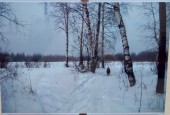 В Истринской центральной библиотеке открылась фотовыставка