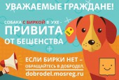 БЕЗНАДЗОРНЫЕ ЖИВОТНЫЕ