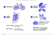 Как жителям Подмосковья бесплатно ездить и провозить багаж на МЦД