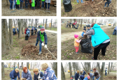 Сотрудники управления опеки и попечительства вместе с замещающими семьями приняли участие в субботнике по благоустройству родного города Истра.