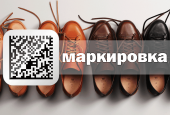 По инициативе Правительства Московской области продлен этап перехода к системе обязательной маркировки товаров