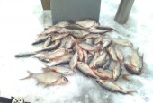 В минувшие выходные на Истринском водохранилище прошел новогодний турнир по рыболовной мормышке.