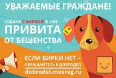 Заберите друга из приюта…